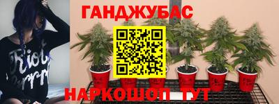 индика Бугуруслан