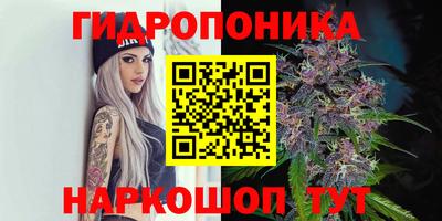 марихуана Будённовск