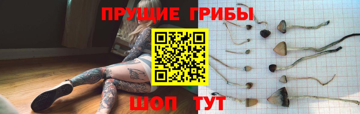 Галлюциногенные грибы Magic Shrooms  Псилоцибиновые грибы мицелий  Вход с VPN  Лиски 